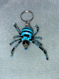 Blue and black spider